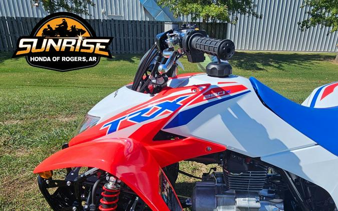 2026 TRX® 250X - Honda