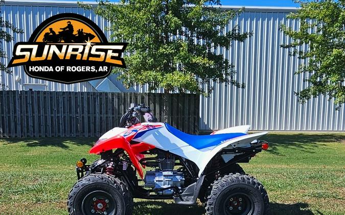 2026 TRX® 250X - Honda