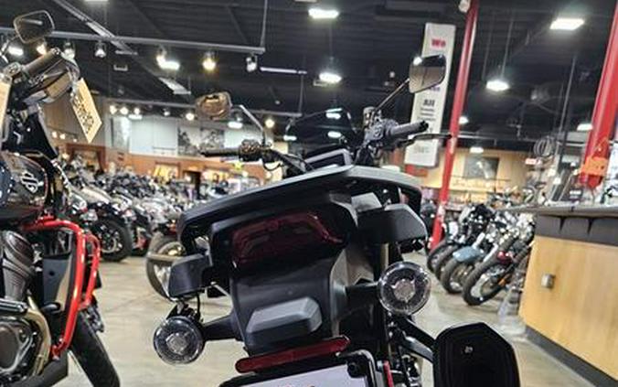 2025 Harley-Davidson® RA1250ST - Pan America® 1250 ST