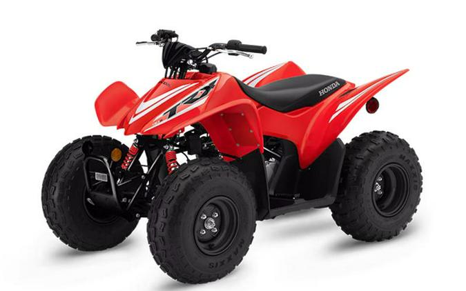 2025 Honda® TRX90X