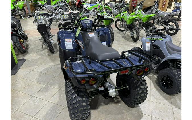 2025 Kawasaki Brute Force® 300 - Grayish Blue