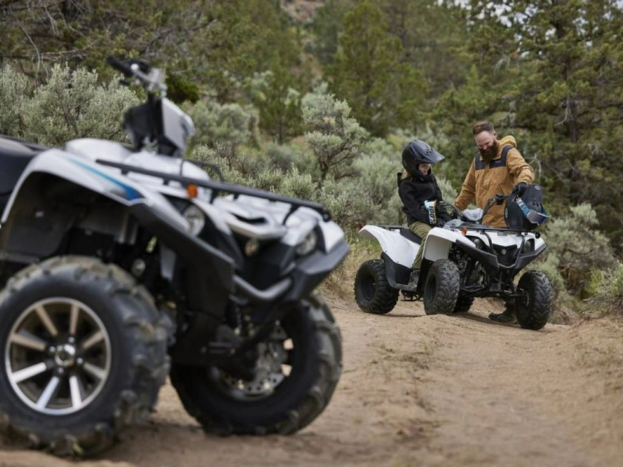 2024 Yamaha Grizzly 90