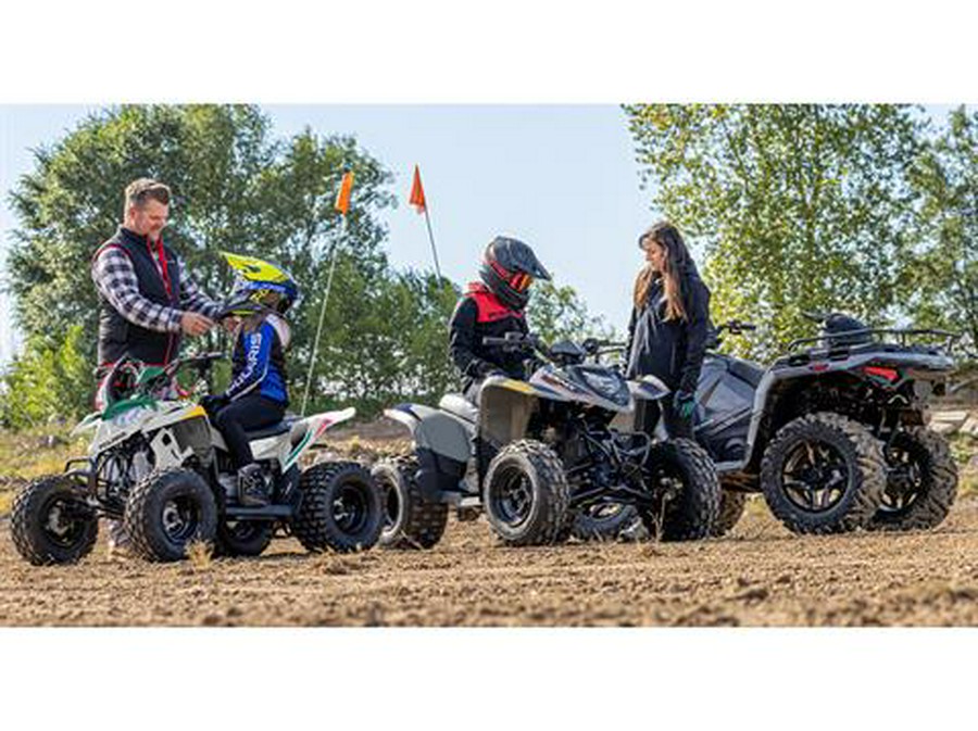 2026 Polaris Phoenix 200