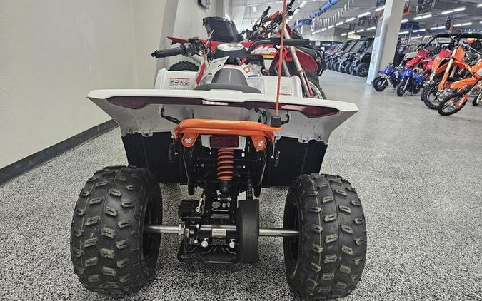 2024 CFMOTO CFORCE EV110 - C0174