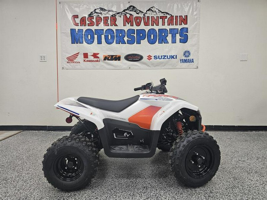 2024 CFMOTO CFORCE EV110 - C0174