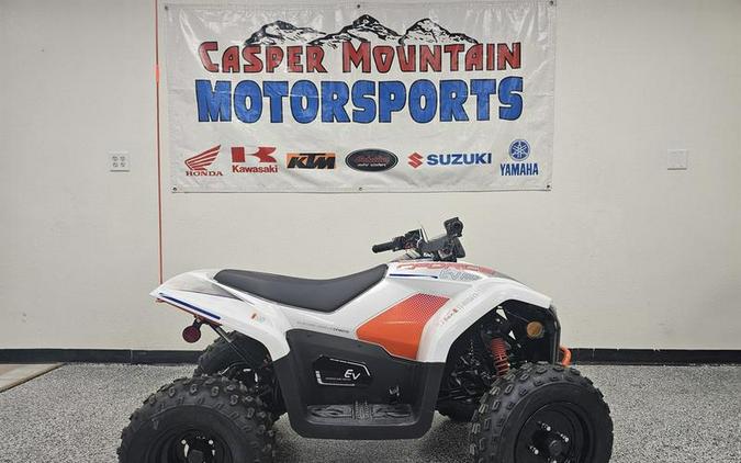 2024 CFMOTO CFORCE EV110 - C0174