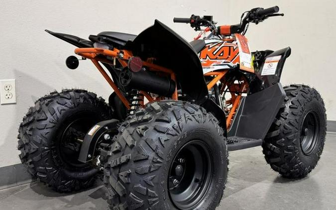 2025 Kayo 110 Predator