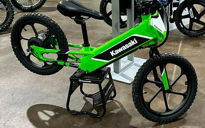 2023 Kawasaki Elektrode