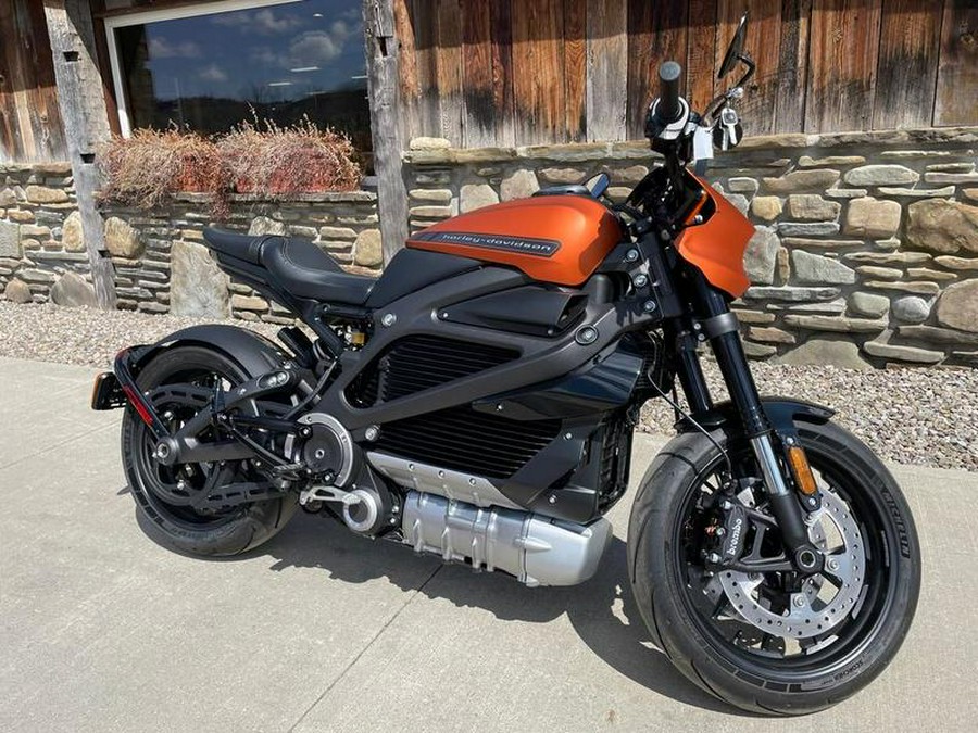 2020 Harley-Davidson® ELW - LiveWire™