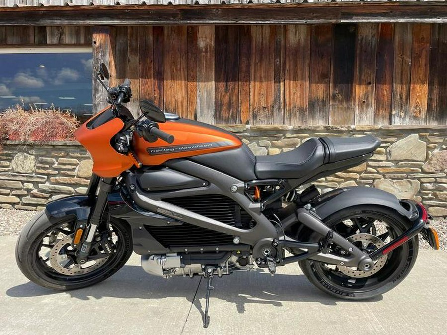 2020 Harley-Davidson® ELW - LiveWire™