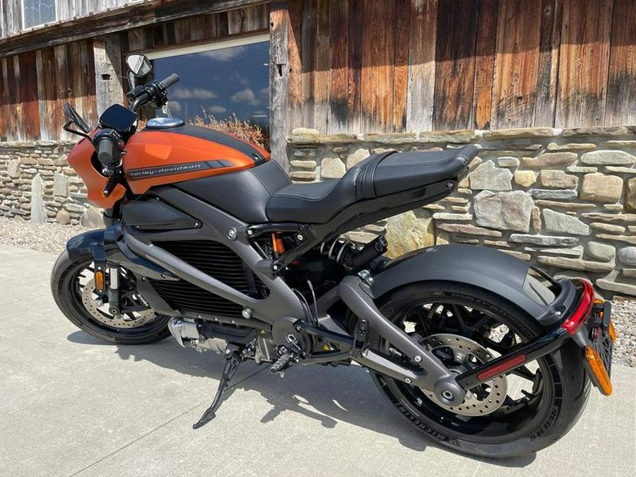 2020 Harley-Davidson® ELW - LiveWire™