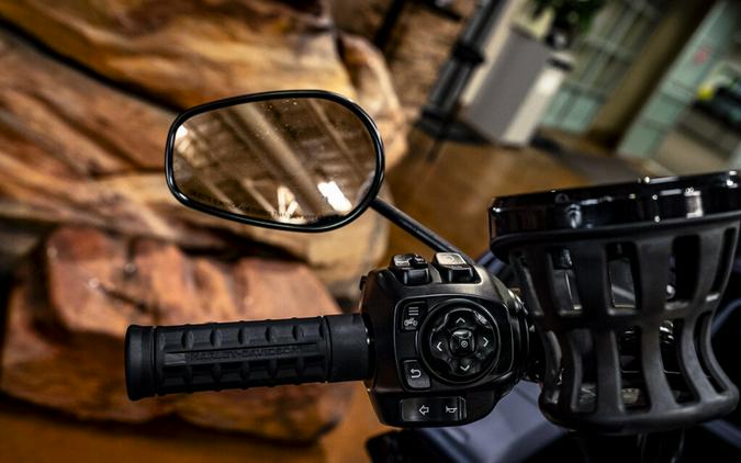 2025 Harley-Davidson Road Glide