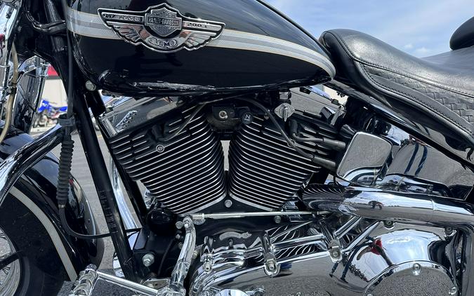2003 Harley-Davidson® FLSTS HERITAGE SPRINGER