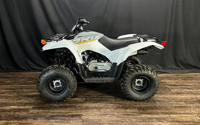 2024 Yamaha Grizzly 90