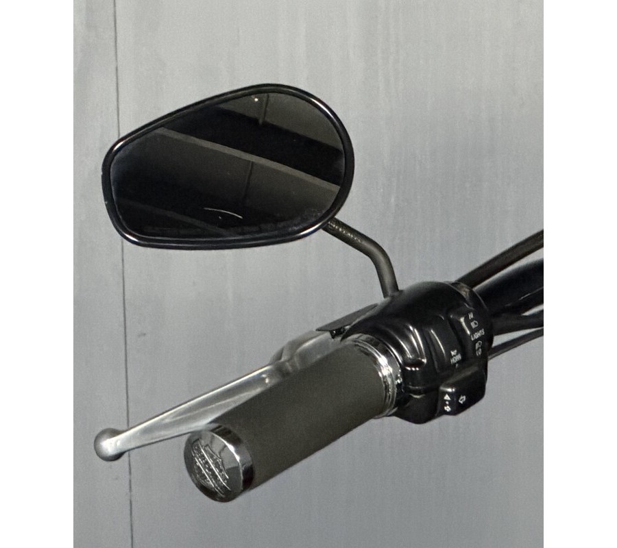 2009 Harley-Davidson® Softail® Cross Bones™ FLSTSB BLACK