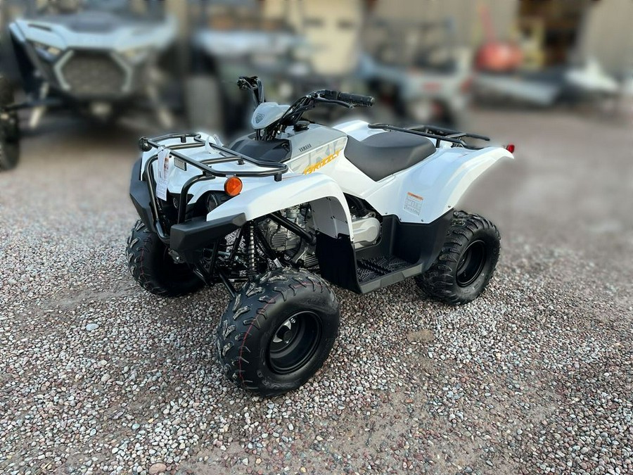 2024 Yamaha Grizzly 90
