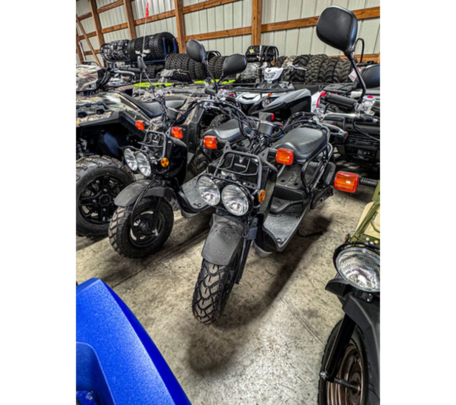 2024 Honda Ruckus