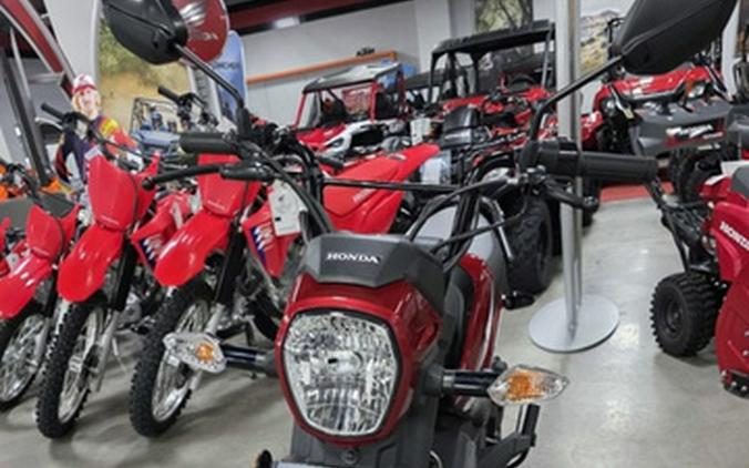 2026 Honda Navi Blue Metallic