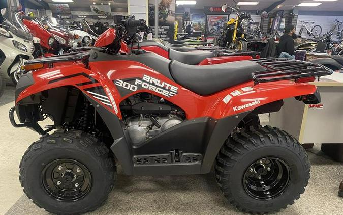 2024 Kawasaki Brute Force® 300