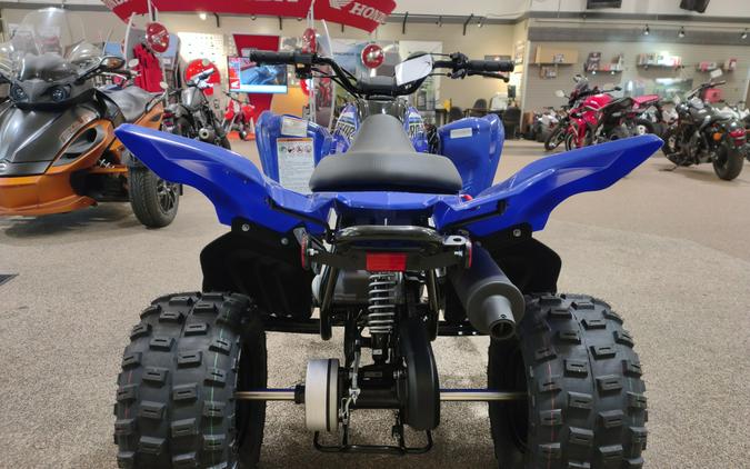 2022 Yamaha Raptor 90