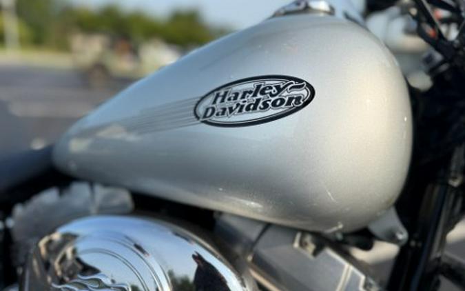 2006 Harley-Davidson Softail® Standard