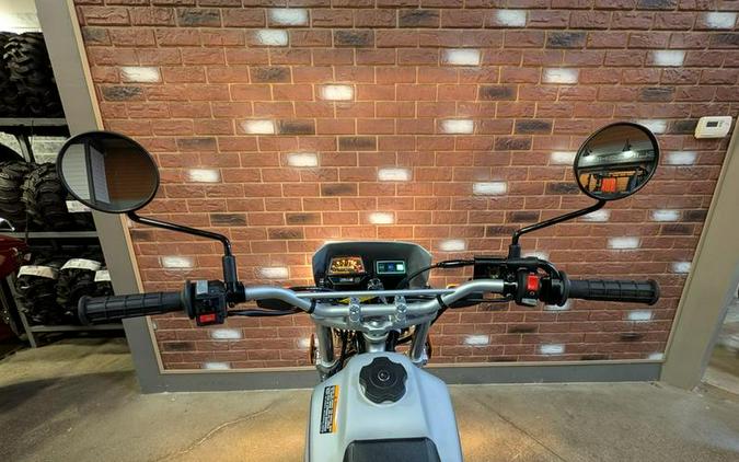 2027 Yamaha TW200