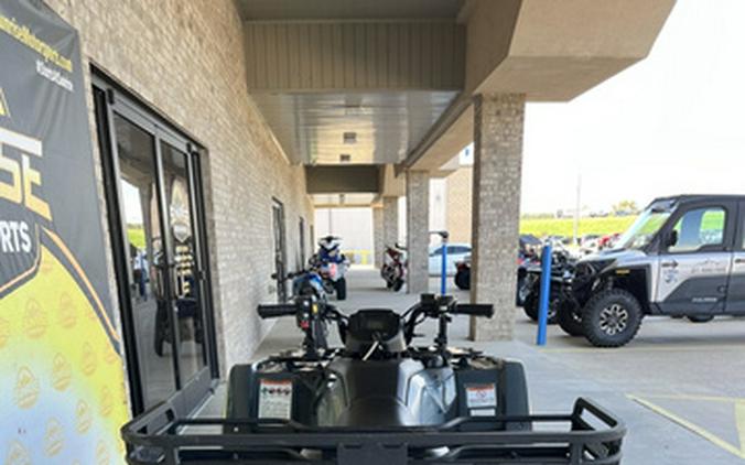 2021 Honda Fourtrax Rancher 4X4 Auto DCT EPS