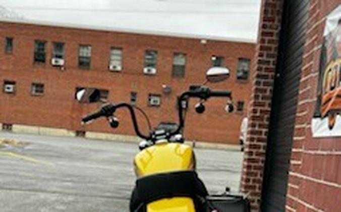 2023 Harley-Davidson® FXBBS Street Bob® 114