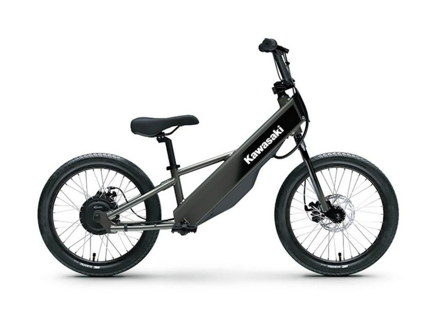 2025 Kawasaki Elektrode® 20FS