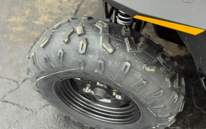 2026 Polaris RZR 200 EFI