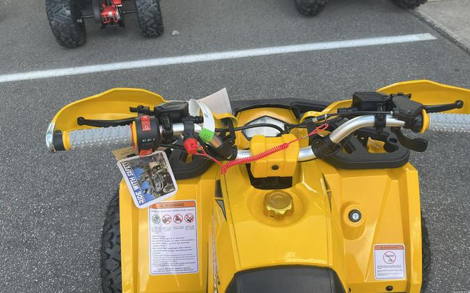 2026 Denago Powersports Mudhawk 10 FI