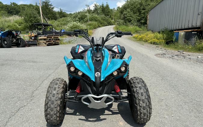 2024 Renegade 110 EFI - Can-Am