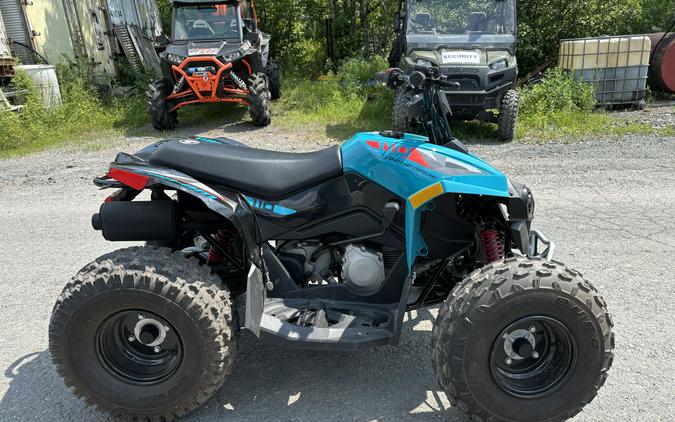 2024 Renegade 110 EFI - Can-Am