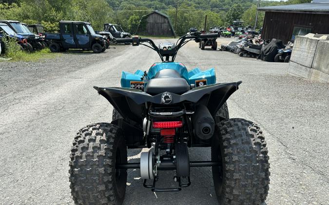2024 Renegade 110 EFI - Can-Am