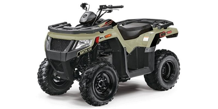 2023 Arctic Cat® Alterra 300