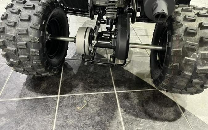 2026 Yamaha Raptor 110