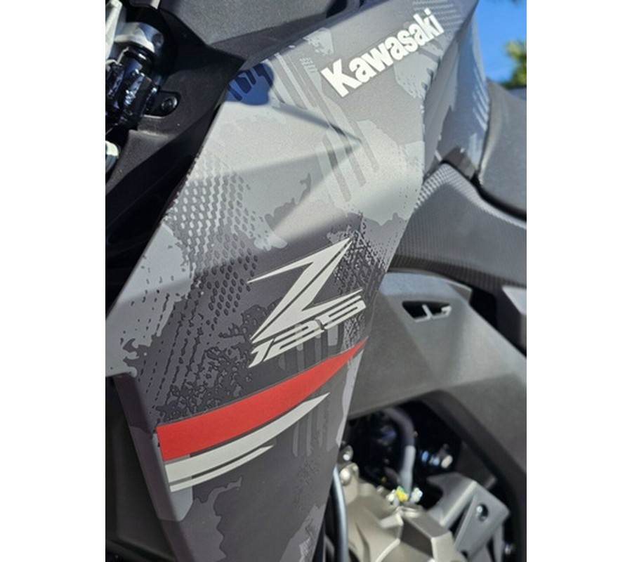 2024 Kawasaki Z125 PRO Cypher Camo Gray MatteMetallic Matte Car