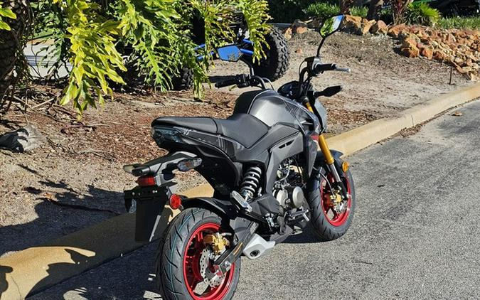 2024 Kawasaki Z125 PRO Cypher Camo Gray MatteMetallic Matte Car