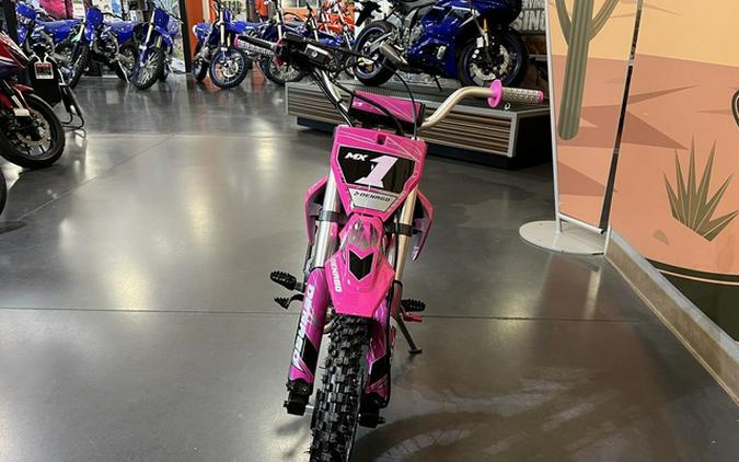 2026 Denago Powersports MX 1