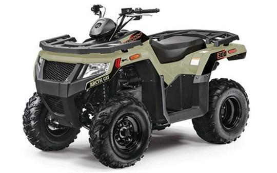 2023 Arctic Cat® Alterra 300