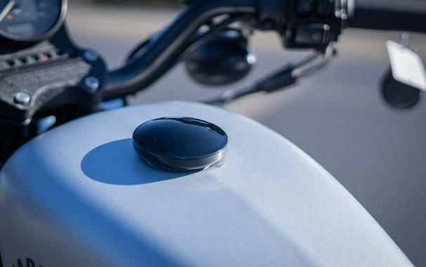 2020 Harley-Davidson® XL883N - Sportster® Iron 883™