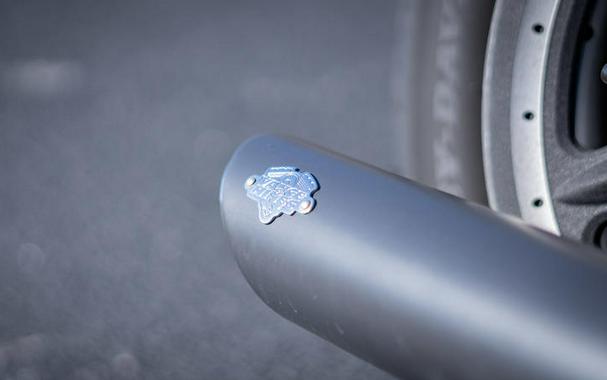 2020 Harley-Davidson® XL883N - Sportster® Iron 883™