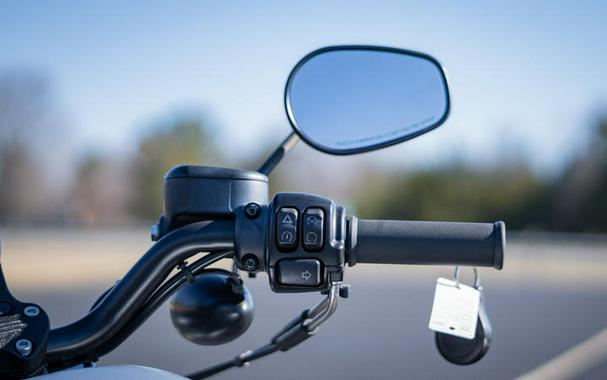 2020 Harley-Davidson® XL883N - Sportster® Iron 883™