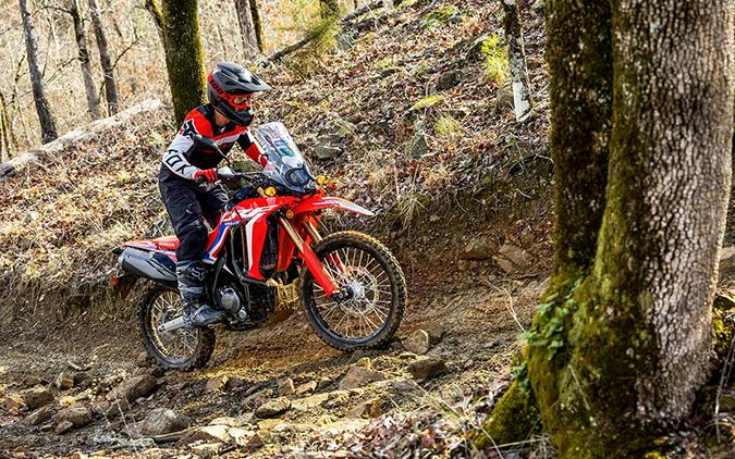 2024 Honda CRF300L Rally ABS