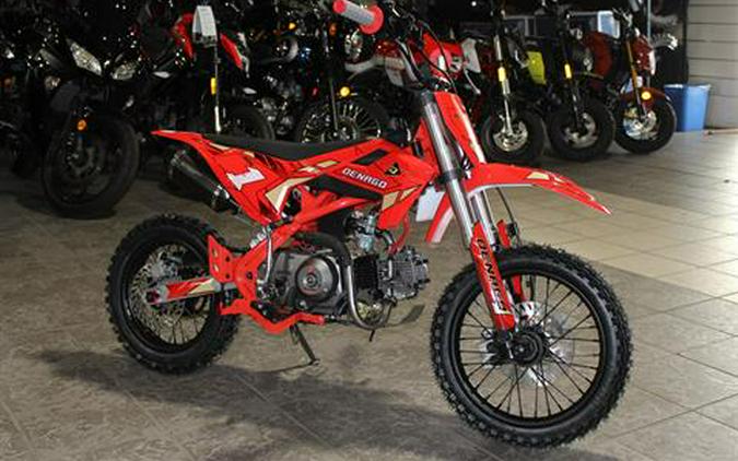 2026 Denago Powersports MX1