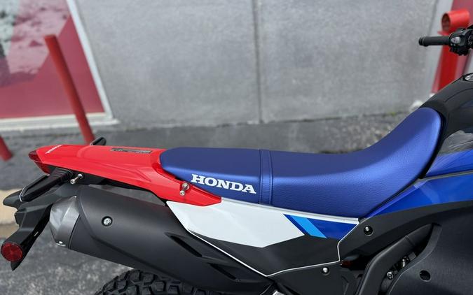 2025 Honda® Crf300L Rally Abs - 400758