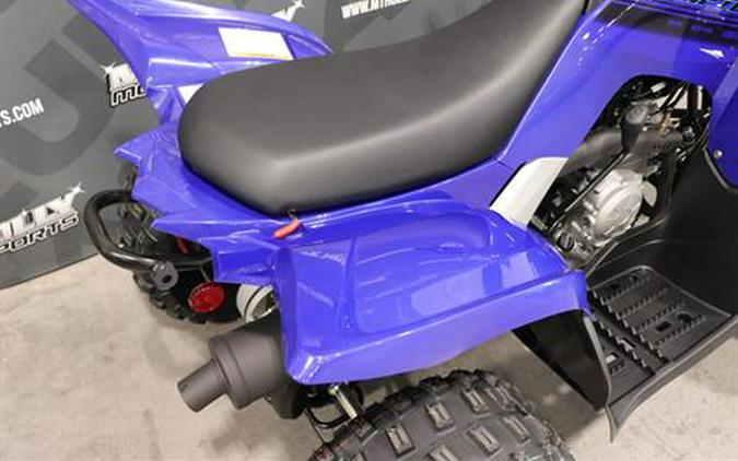 2025 Yamaha Raptor 110