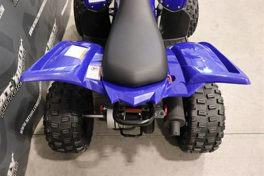 2025 Yamaha Raptor 110