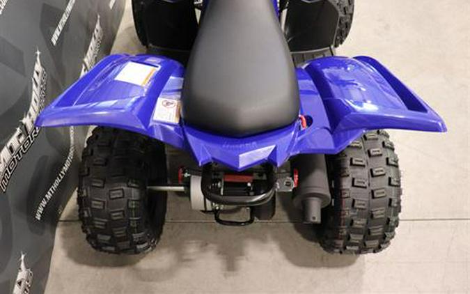 2025 Yamaha Raptor 110