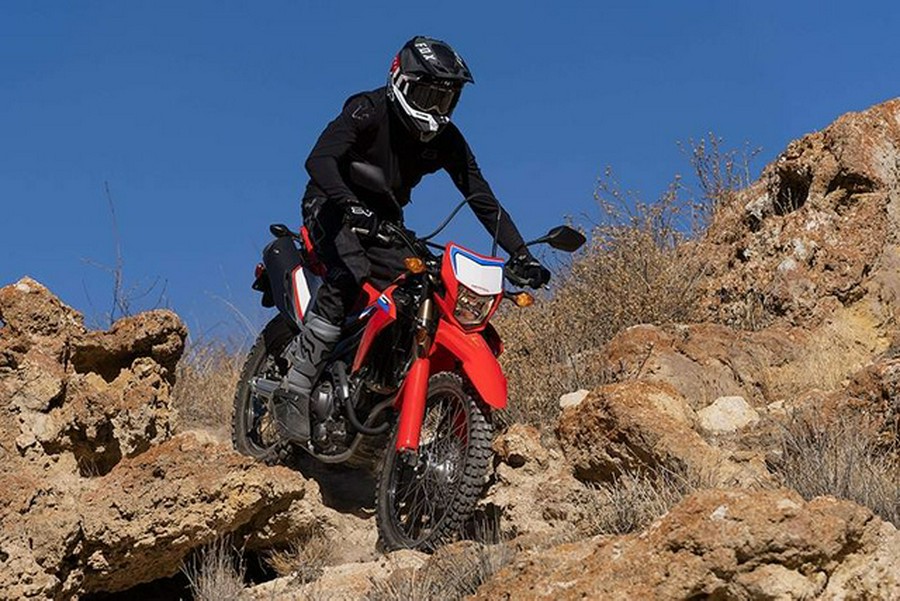 2024 Honda CRF 300L Rally